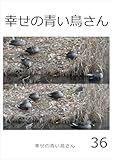 幸せの青い鳥さん　36