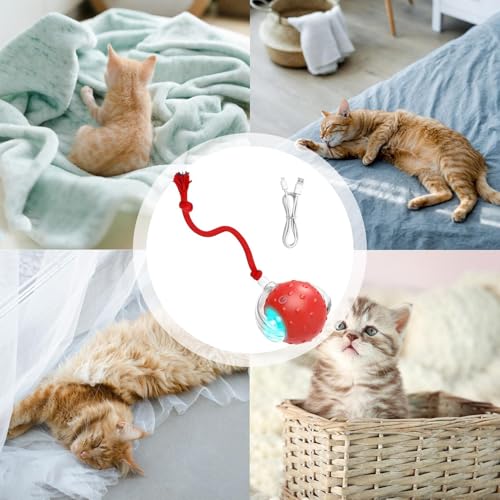 FASSME Bola Interativa para Gatos | Chirping Light Up Exercício Cat Ball - Bolas de Gato em Moviment