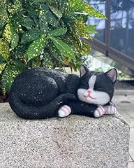 Sleeping Black and White Cat