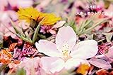 永生・モラトリアム