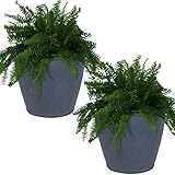 Sunnydaze 24-Inch Anjelica Large Plastic Pot for Plants - Outdoor Double-Walled Large Plastic Planter with Drillable Drainage Holes - Slate - 2pk