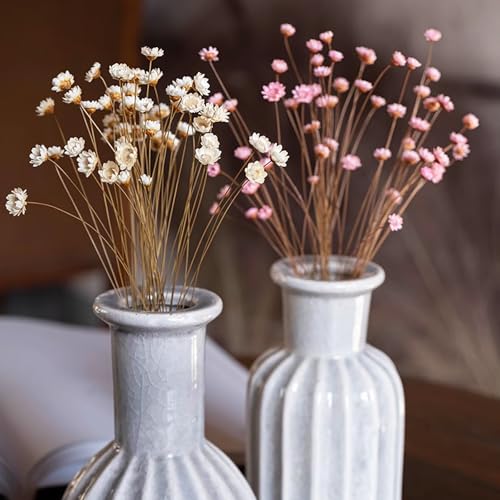 Mini flores secas margaritas brasileñas 300 unidades miniatura 3