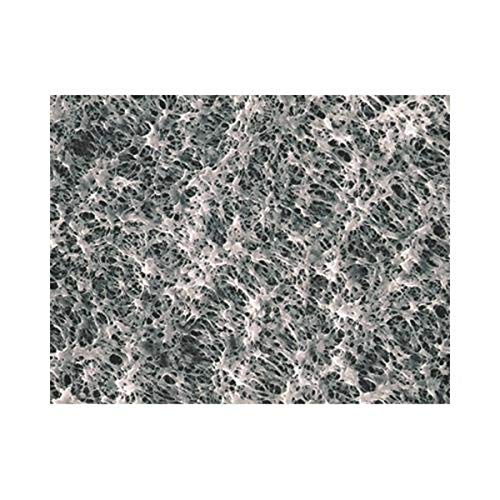 Advantec MFS H020A013A Hydrophilic Membrane Filter, 13 mm Diameter, 35 µm Thickness (Pack of 100)