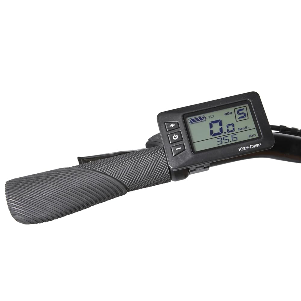 Écran LCD pour Vélo Electrique Key-Disp KD21C Panneau de Contrôle avec Prise Etanche Ordinateur de Vélo 36V/48V Affichage de Vélo électrique