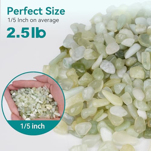 Image of 2.5 lbs Jade Pebbles for Indoor Plants, 1 /5 Inch Succulent and Cactus Pebbles, Decorative Gravel for Vases, Bamboo,Terrarium, Crafts, Cactus