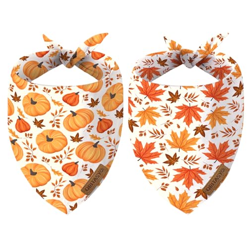 ORITASY �H���Ӎ� ���p�o���_�i ���ׂĂ̌��p (2�p�b�N �O�p�`���o�[�V�u���y�b�g�X�J�[�t) (�H�̃p���v�L�����[�v�����[�t) �v���~�A���t�@�u���b�N�z���f�[�o���_�i�AS Q