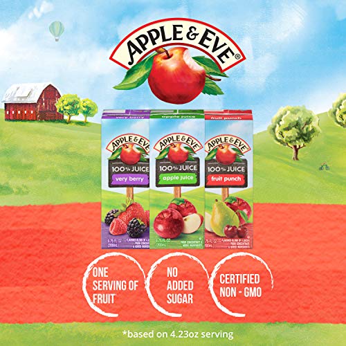 Apple & Eve 100% Juice, Cranberry Raspberry, 6.75 fl oz, 40 count