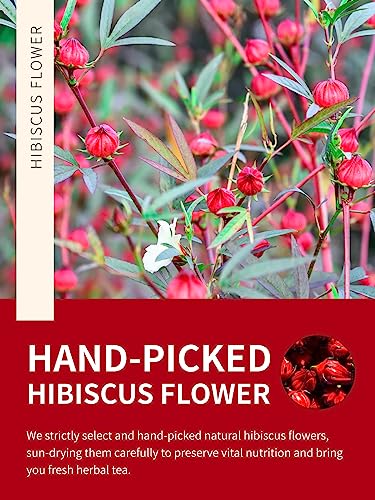 Image of TeeLux Hibiscus Tea Loose Leaf, Dried Hibiscus Flowers, Cut & Sifted, 16 oz | Natural Hibiscus Flower Herbal Tea (Flor de Jamaica), Tart & Refreshing Flavor, Gluten Free, Caffeine Free, Hot or Iced