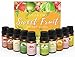 ASAKUKI Coffret Huile Essentielle Fruitée pour diffuseurs 10x10mL, Huile Aromathérapie De Fruits - Pomme Verte, Cerise, Fraise, Citron, Mangue, Noix de Coco, Banane, Ananas, Pêche et Pastèque