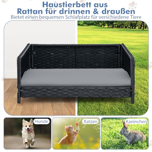 COSTWAY Hundebett aus PE-Rattan, Haustierbett mit abnehmbarem Kissen & waschbarem Bezug, Metallrahmen, erhöhtes Hundesofa für kleine/mittelgroße Hunde, Hundecouch für drinnen draußen, 62x46x25cm