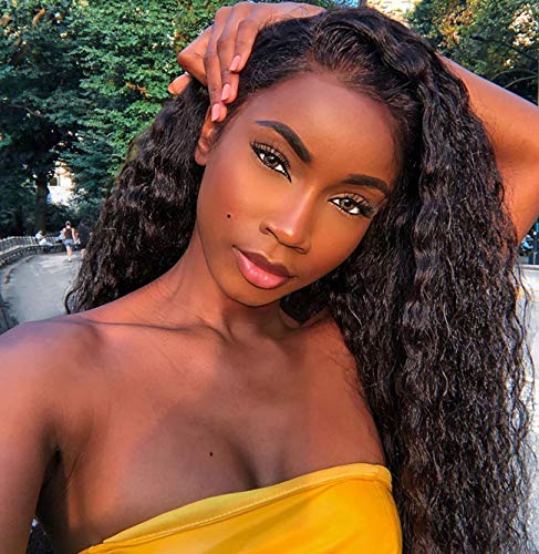 Chantiche Preplucked Lace Front Human Hair Wigs with 4.5" Deep Part Brazilian Remy Human Hair Loose Curly Wig with Baby Hair 150% Density Human Lace Wig for Women (4.5" Lace Front,20inch,#1B)