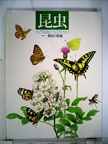 Amazon.co.jp: 長谷川 哲雄: 本、バイオグラフィー、最新