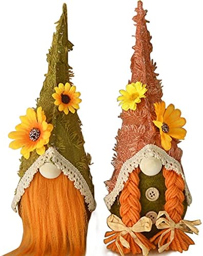 Amazon.com: Anntool Fall Gnomes Plush Thanksgiving Decor, 2 Pcs Mr and ...