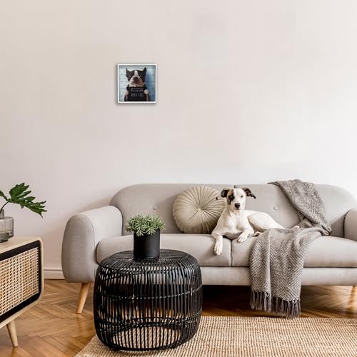 Image of Stupell Industries Funny Boston Terrier Dog Jail Convicted Police, Design by Lucia Heffernan