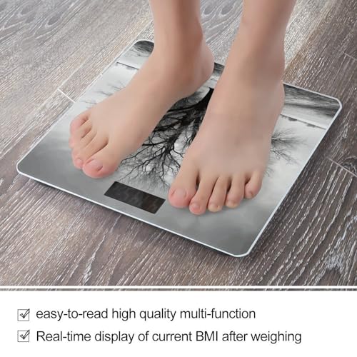 Báscula digital de baño con vidrio templado y pantalla LCD miniatura 5
