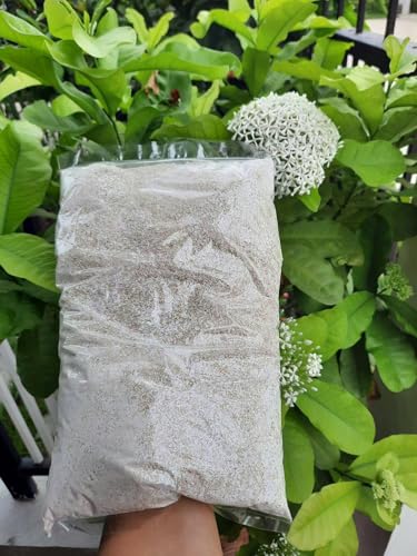 Image of Eggshell Powder 3.5 Ounce