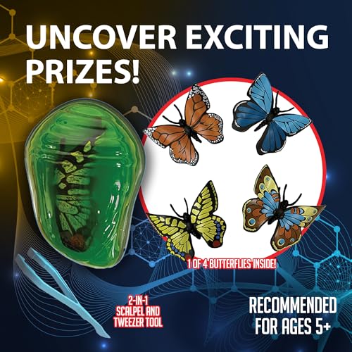 Image of Discover it Butterfly, Science Lab Kit, STEM Toys for Kids, Ages 5+ | Butterfly Life Cycle: Open a synthetic chrysalis to discover butterfly stages while learning about metamorphosis and STEM