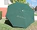 BELLRINO DECOR Replacement HUNTER GREEN " STRONG & THICK " Umbrella Canopy for 9ft 8 Ribs Hunter Green (Canopy Only)