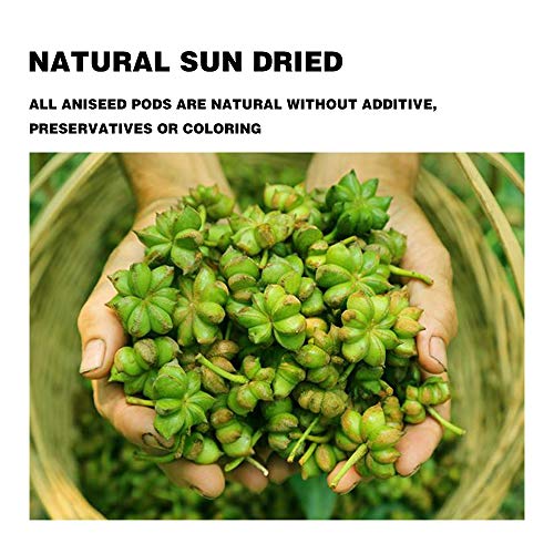 Whole Star Anise Seeds Pods 16 Ounces, 100% Natural Whole Chinese Anise Star Pods Sun Dried Spice, Anis Estrella/Badian Khatai/ Illicium Verum, Widely Used for Baking, Cooking, and Tea - Thumbnail 3