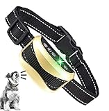 吠えない犬をオススメする理由とは 犬の苦情が来た結果 パパシャブログ