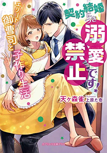 契約結婚につき溺愛禁止です エリート御曹司と子作り生活 特典付き ガブリエラ文庫プラス Kindle 天ヶ森雀 の感想 ブクログ