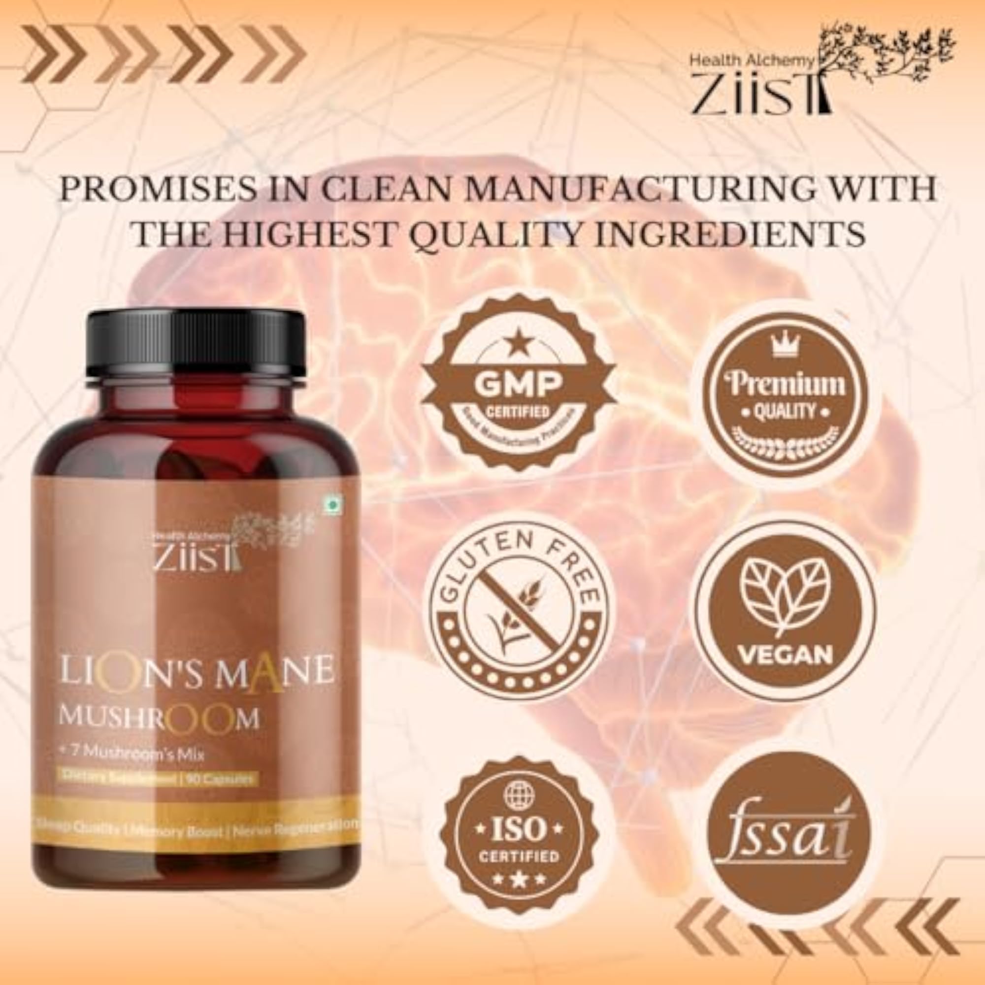 Lion's Mane Mushroom Dietary Supplement, 90 Capsules