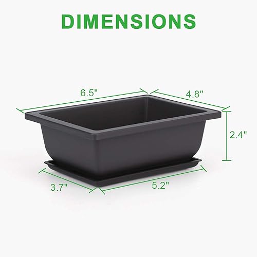 Miniatura 2 de GROWNEER 6 paquetes de macetas de entrenamiento para bonsái de 6.5 pulgadas con bandejas de drenaje de humedad, kits de árbol bonsái con 1