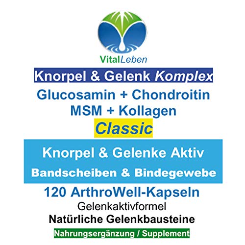 Knorpel & Gelenke Komplex Classic 360 (3x120) ArthroWell Gelenk-Kapseln - Natürliche Gelenkbausteine Glucosamin + Chondroitin + MSM + Kollagen. 26440-3