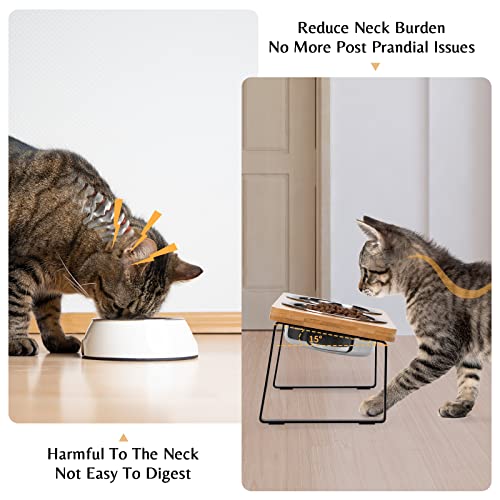 Loplurea ECB0001 Elevated Cat Bowls For Food And Water - Loplurea 15° Tilted Raised Stainless Steel Cat Food Bowl With Bamboo Stand And Anti Vomit Feeding Station For Indoor Cats And Pet… thumb #1