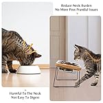 Elevated Cat Bowls for Food and Water - Loplurea 15° Tilted Raised Stainless Steel Cat Food Bowl with Bamboo Stand and Anti Vomit Feeding Station for Indoor Cats and Pet… - Image 2