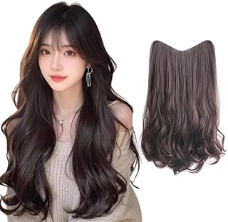 AISI HAIRウィッグ エクステ ロング カール ハーフウィッグ クリップ 襟足 ワンタッチ 初心者向け 自然 耐熱 レディッス ダークブラウン