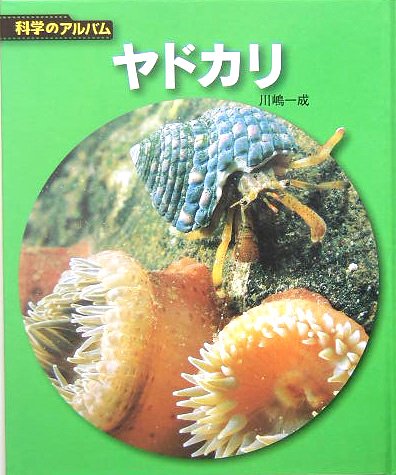 ヤドカリ 新装版 (科学のアルバム動物・鳥 20) | 川嶋 一成 |本 | 通販