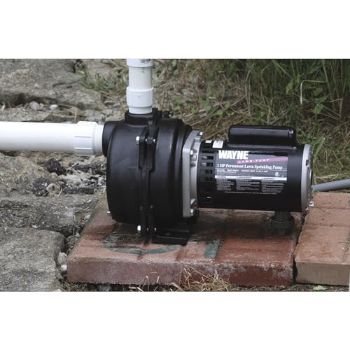 Wayne WLS150 1.5 Hp High Volume Cast Iron Lawn Sprinkling Pump thumb #2