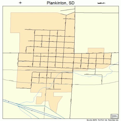 Large Street & Road Map of Plankinton, South Dakota SD Printed poster