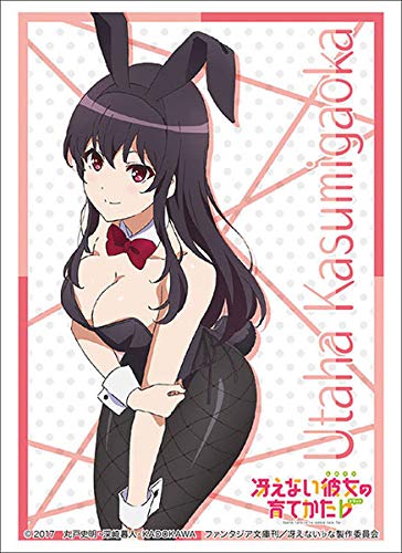 Protège-cartes Saekano Utaha Kasumigaoka HG Vol.2156 pour protégez vos paquets de TCG