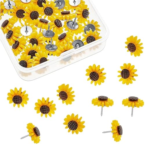 Chinchetas de girasol para colgar fotos y mapas de pared 2