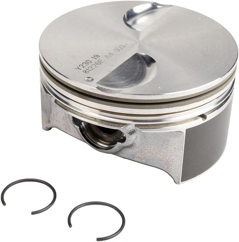 19208471 Engine Piston Kit
