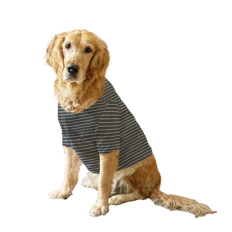 Ruse. Pet Clothes White/Navy Striped Full Sleeves with Treat Pocket Crew Neck T-Shirt/Tees Apparel for Dogs Gifts.(XS) (B083GP65T1) Amazon Price History, Amazon Price Tracker