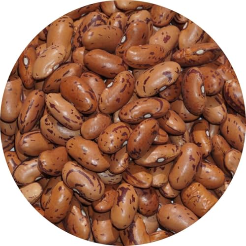 �A���� ��É� �s���g�r�[���Y ���W�} �`�b�g�J�u�� �s���g �r�[���Y �s���g�� pinto bean common bean �C���Q���� �C���Q�� (20kg)