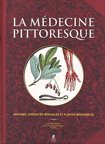 Télécharger La médecine pittoresque PDF