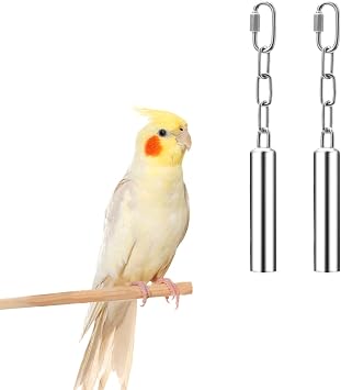 Wontee Stainless Steel Bell Toy Bird Cage Hanging Bite Toy for Parrot Parakeet Budgie Cockatiel Conure African Greys 2 PCS-S