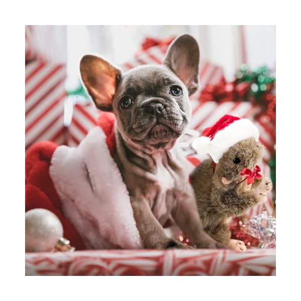 ALL-FOR-PAWS-Interactive-Dog-Squirrel-Plush-Toys-Stuffed-Animal-Squeaky-Toy-Perfect-Puppy-Plush-Toy-for-Dogs-Enrichment-Toys-Large Interactive Dog Squirrel Plush Toys