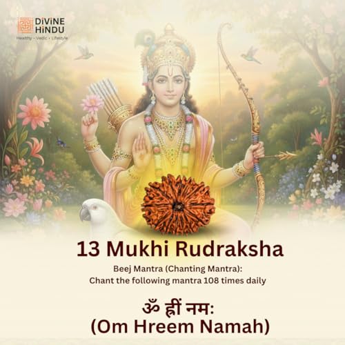 Image of Divine Hindu Authentic 13 Mukhi Rudraksha Bead (Lab Certified) - Original Thirteen Face Nepali Rudraksha for Success, Charisma & Kaamdev Blessings - Natural Brown Prayer Bead for Men & Women