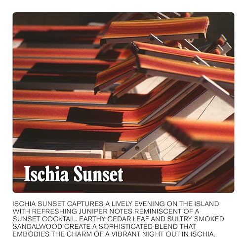 uni. 24 Hour Body Serum - Lightweight Skin Moisturizer with Organic Aloe Vera, Marine Complex, Australian Kakadu Plum & Exfoliating Australian Lime Caviar - Ocean-Safe Beauty (375 ml) - Image 6