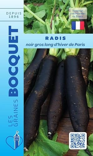 Sachet de graines de Radis noir d'hiver de Paris - 10 g - légume racine - LES GRAINES BOCQUET