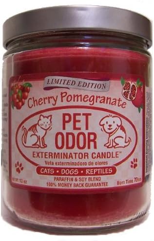 Pet Odor Exterminator Candle