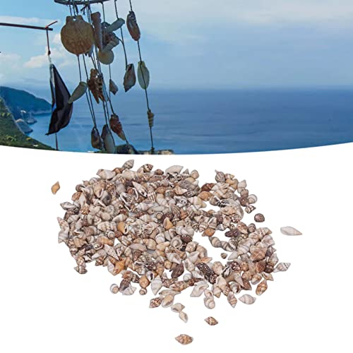 1 Can Shell Bead Tiny Sea Shells Ocean Beach Natural Spiral Seashells Craft Charms for DIY Fish Tank Landscaping Drift Bottle Decoration - Image 3
