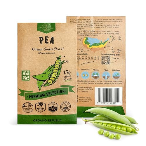 Organo Republic Pea Oregon Sugar Pod II Seeds Pack 15G - Over 75 Non-GMO Heirloom Pea Seeds for Planting Vegetables in Individual Seed Packet, Vegetable Seeds for Planting Home Garden Indoor & Outdoor