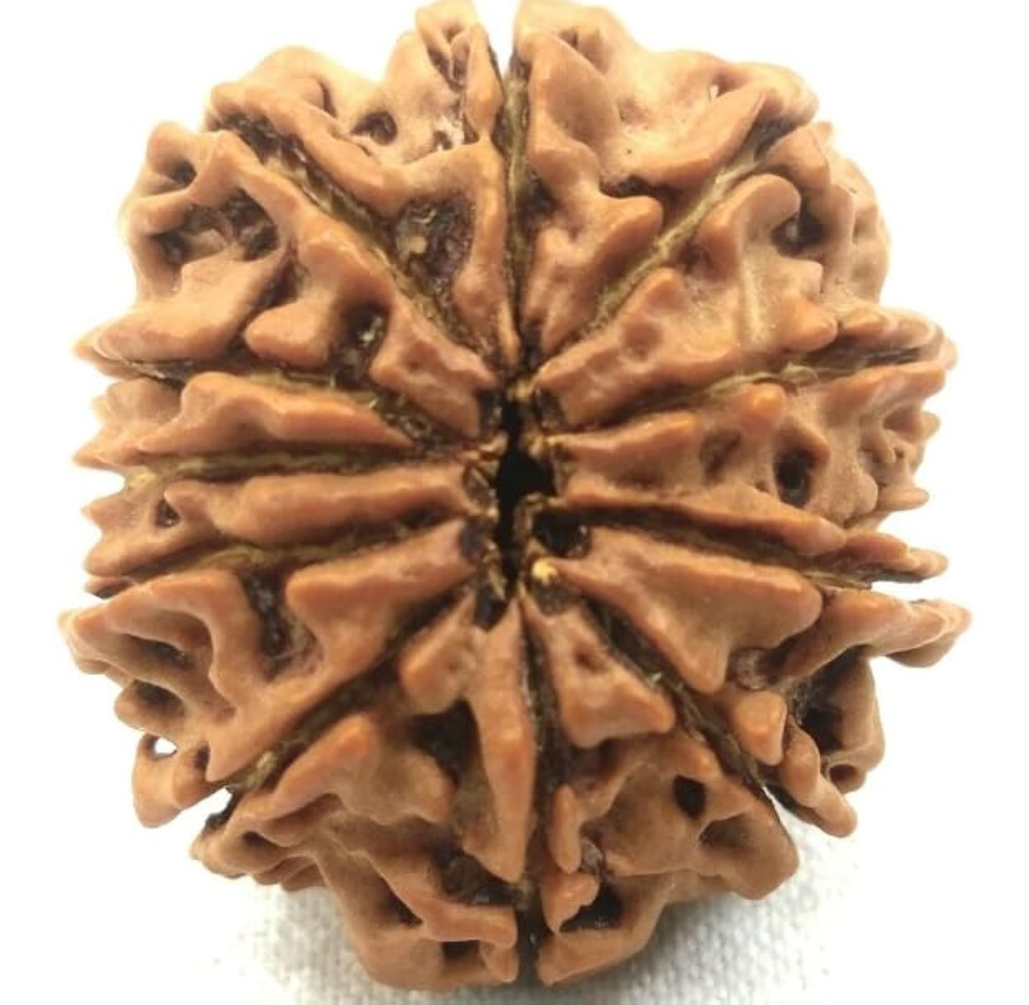 Natural Pure 11 Face Rudraksha Original Certified Mala for Men