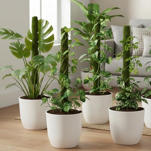 Image of CINAGRO 3ft Natural Coir Moss Stick for Plant Support, Set of 4, Grass Pole | Aesthetic Garden Decor for Climbing Plant, Eco-Friendly, Biodegradable